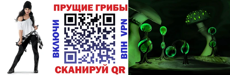 Галлюциногенные грибы прущие грибы  цена   Южно-Сухокумск 